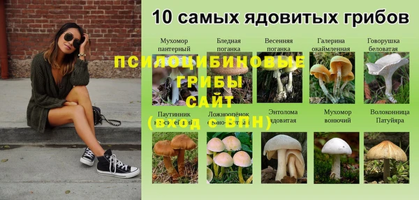 ALPHA PVP Алзамай
