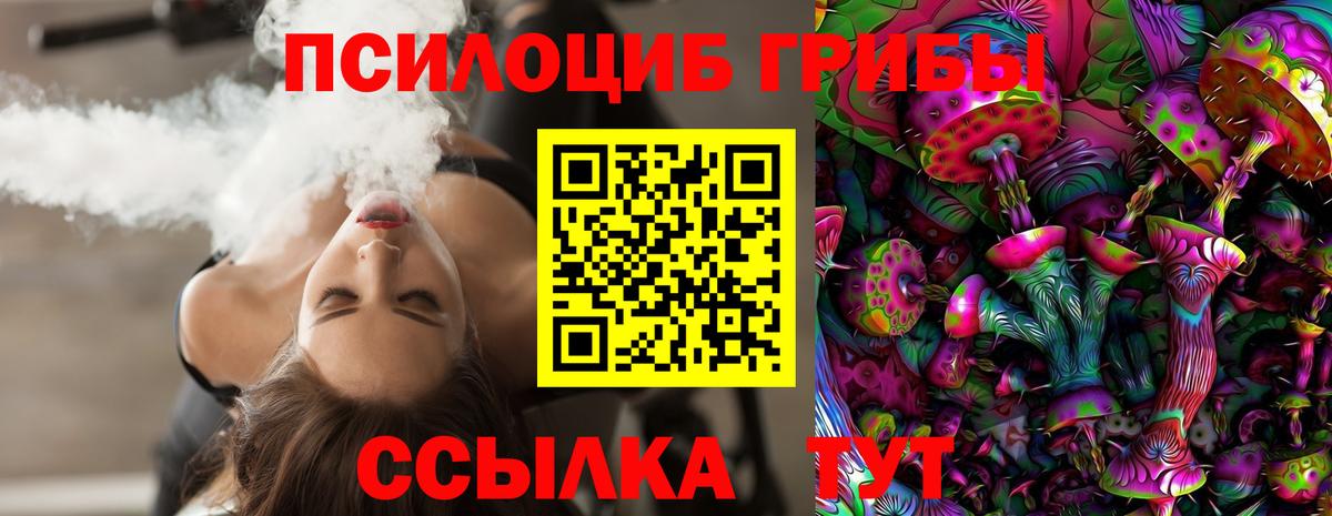 Галлюциногенные грибы Psilocybe  Вход с VPN  Глазов 